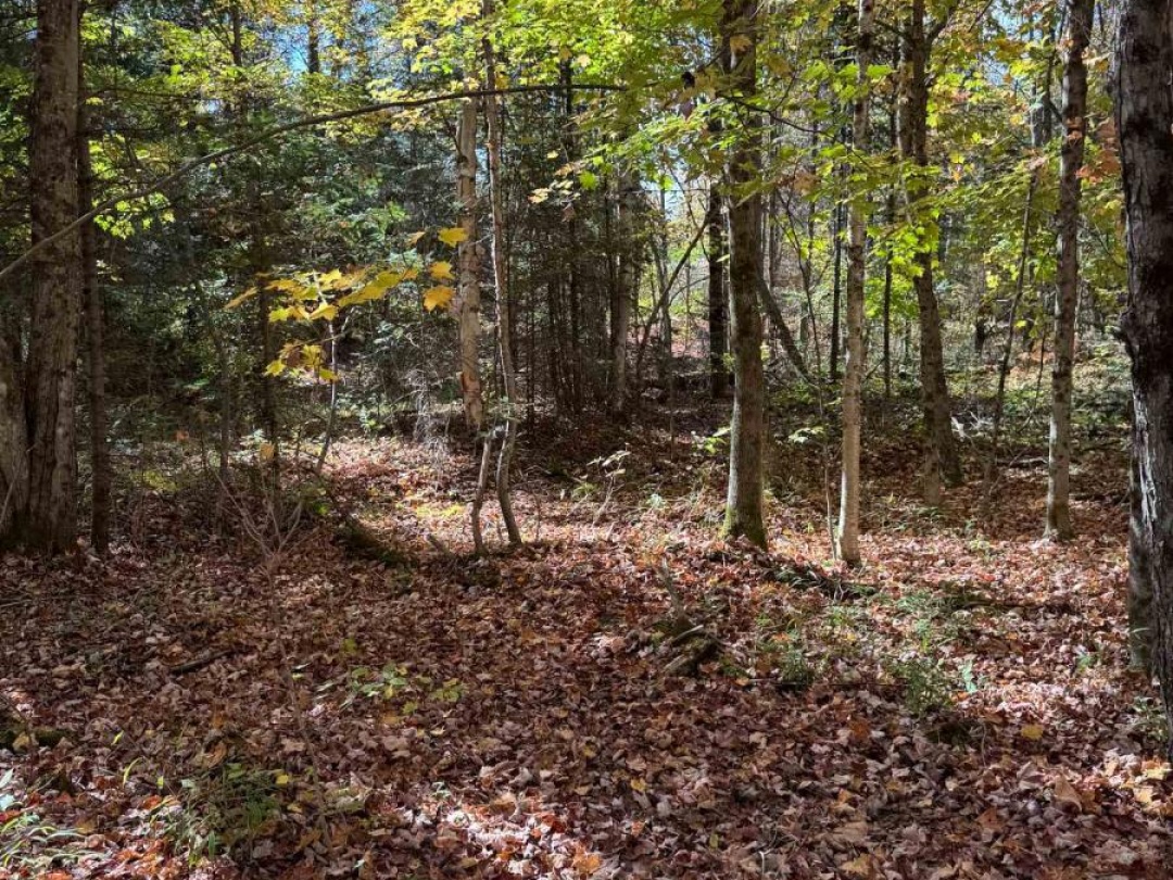 0000 KOSHLONG LAKE ROAD, 