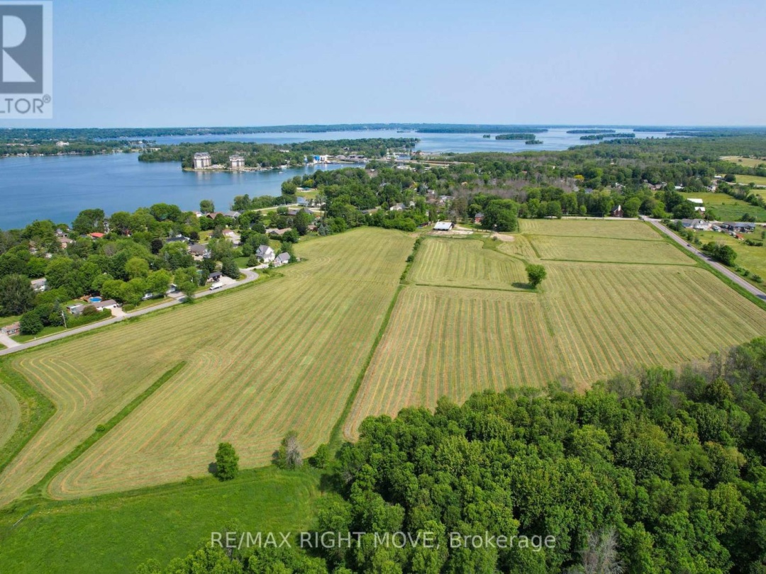51 BALSAM ROAD, 