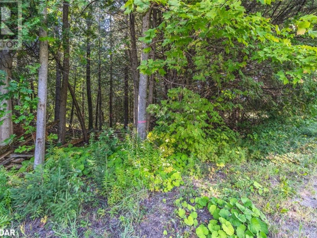 2960 Line 8 N, Oro-Medonte