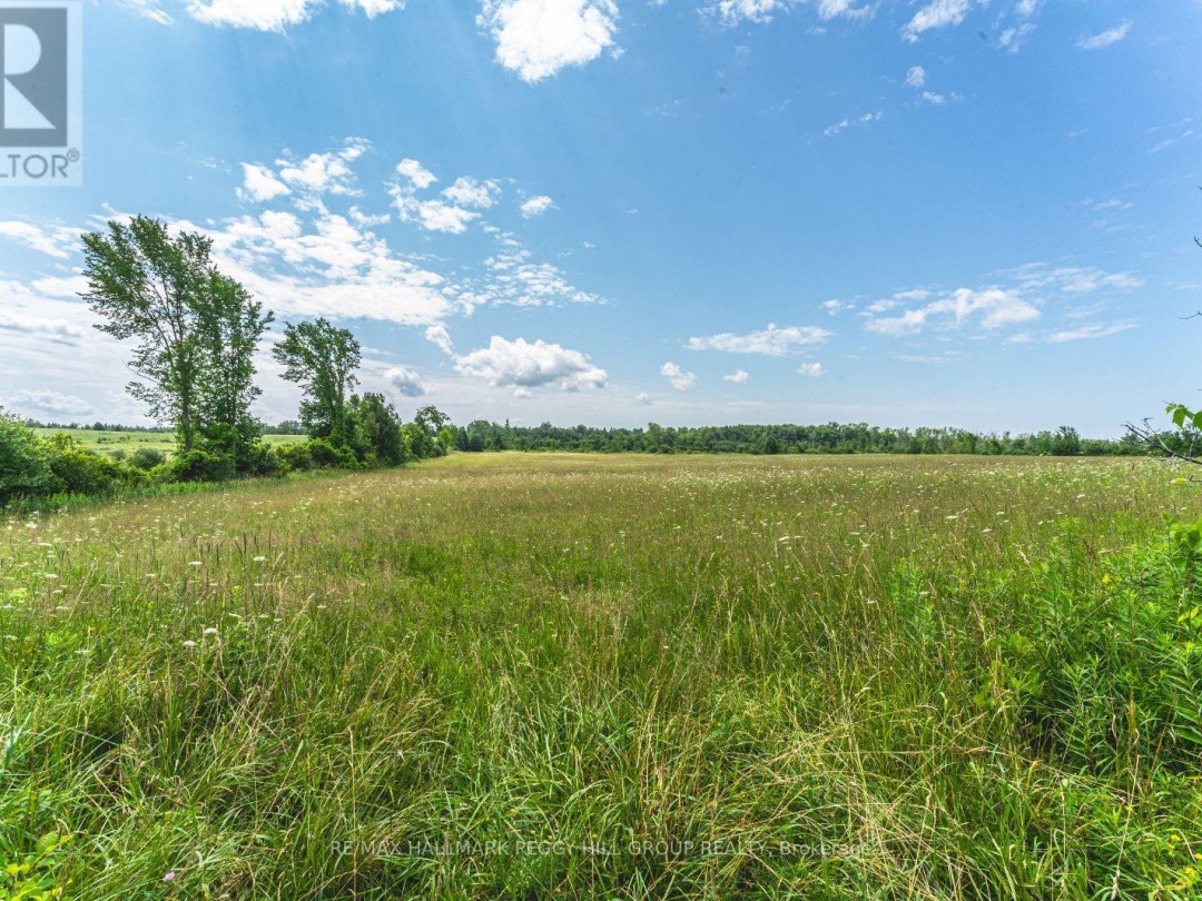 LOT 5 CONCESSION 5, 