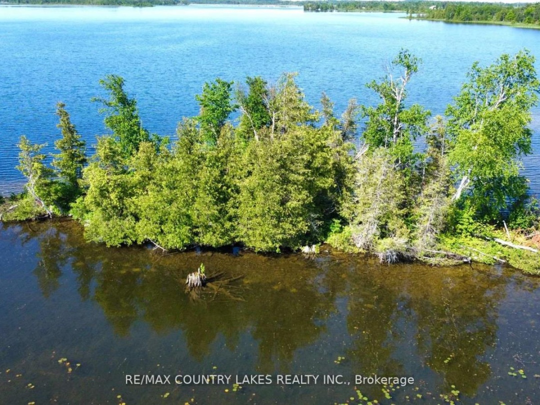 Lt 1 Island, Canal Lake