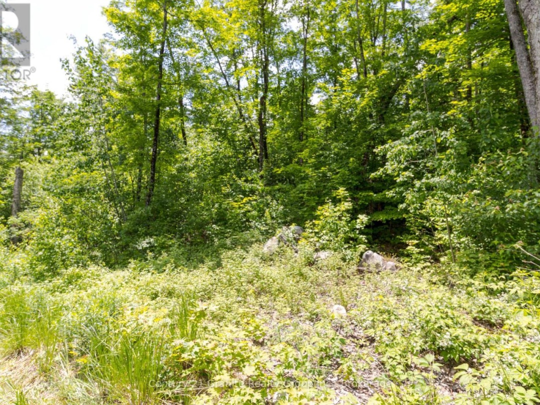 0 HALIBURTON LAKE ROAD, 