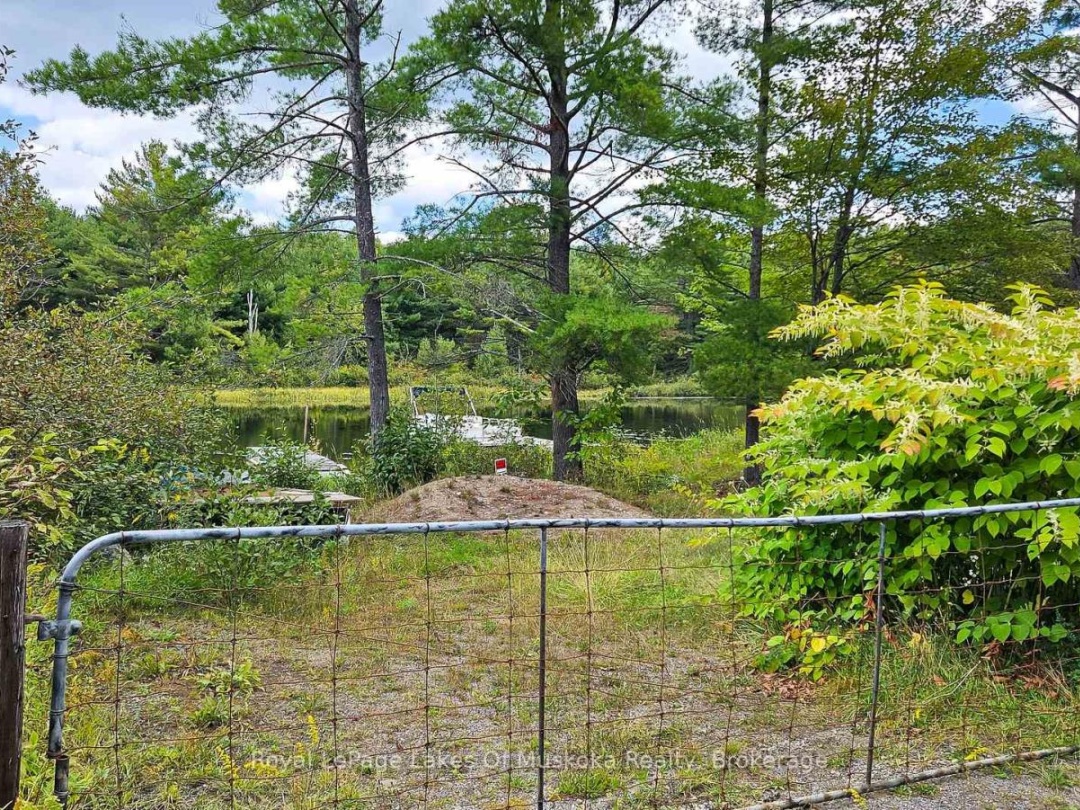 0 MUSKOKA RIVER, 