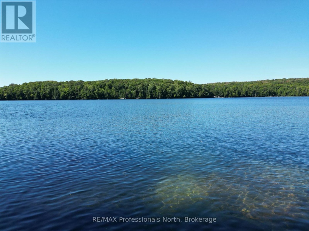 1025 MANITOU ROAD, Little Dudmon Lake
