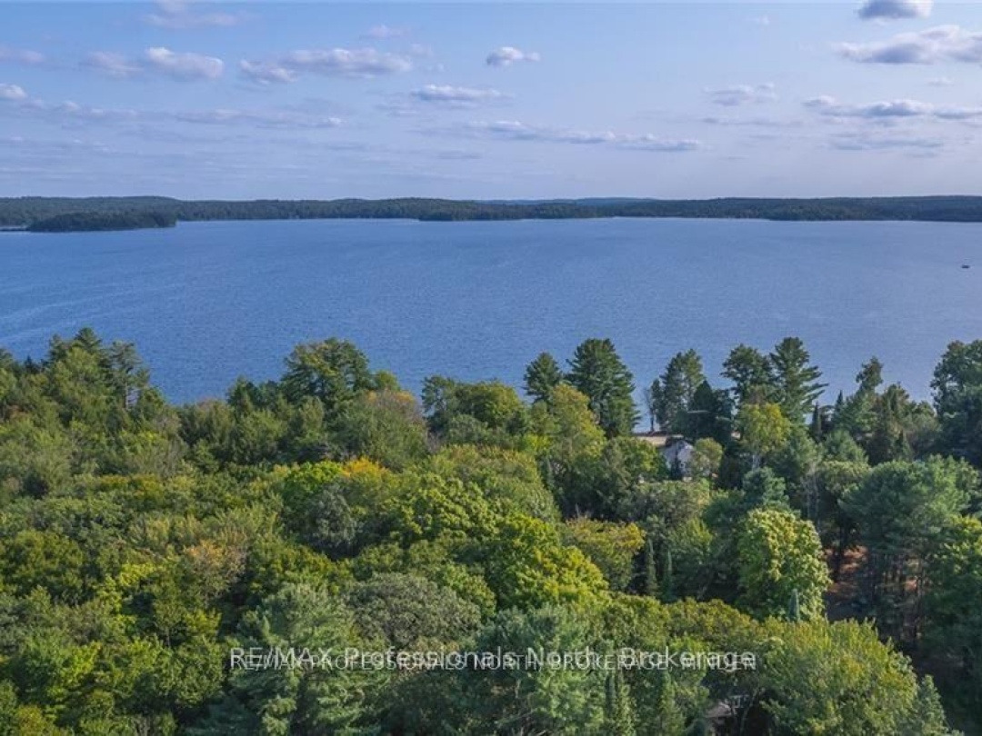 1205 Little Hawk Lake Road, Algonquin Highlands
