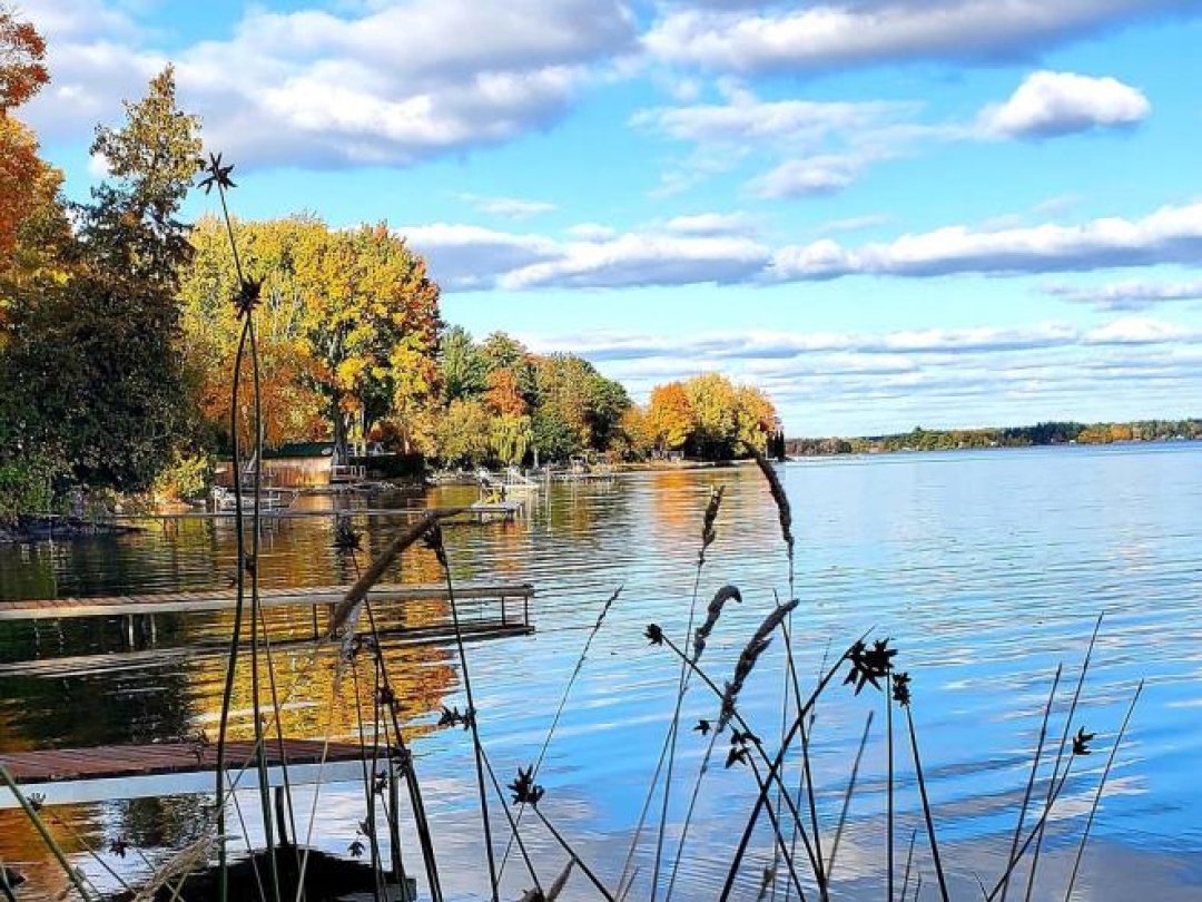 168 LAKEBREEZE ROAD, Cameron Lake