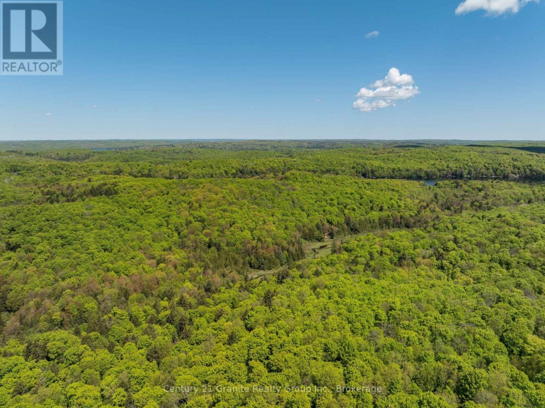 1145 Mink Road, Long Lake