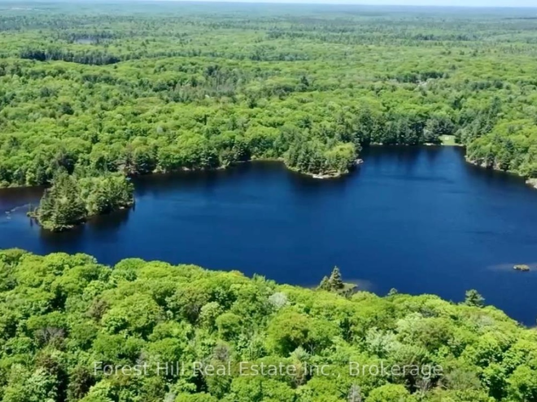 60 Hawksview Lane, Faris Lake