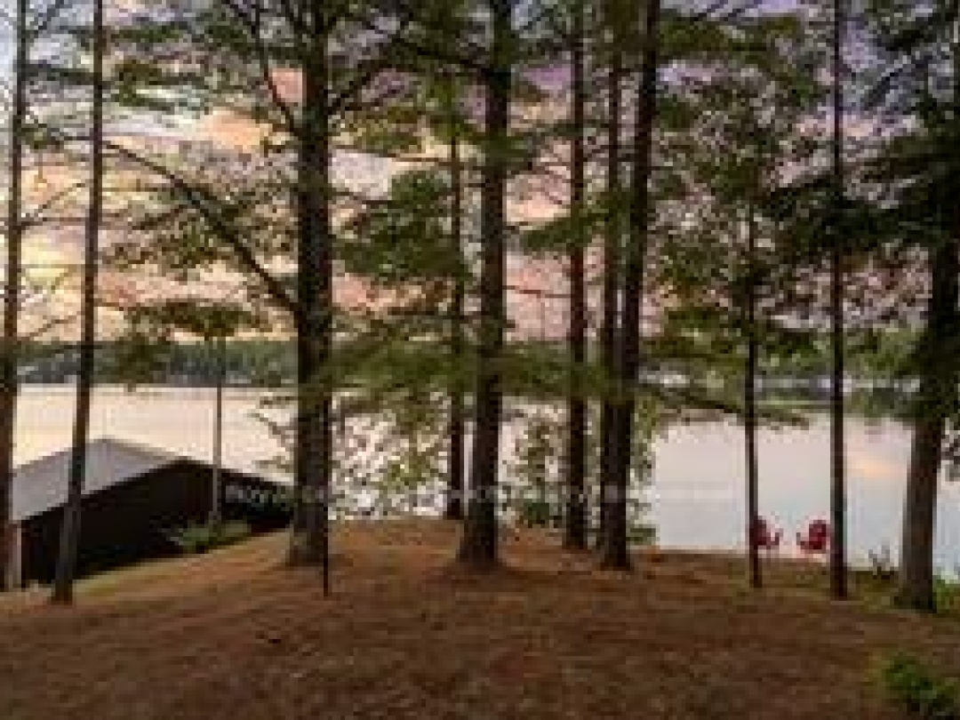 211 PICKEREL POINT ROAD, 