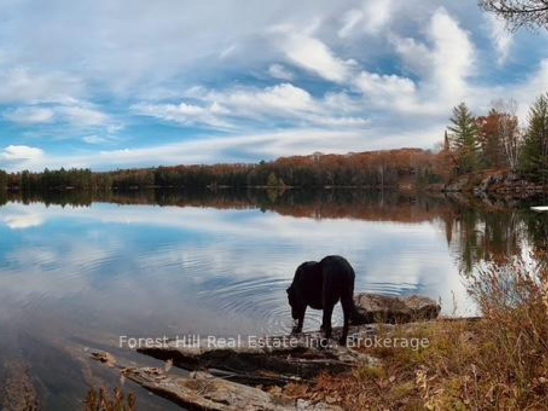 60 Hawksview Lane, Faris Lake