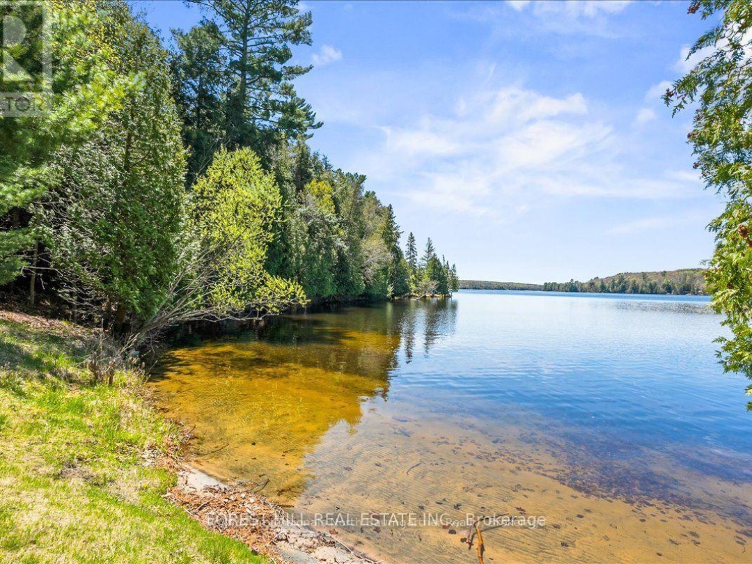 F 1033 Carnegie Lane, Kashagawigamog Lake