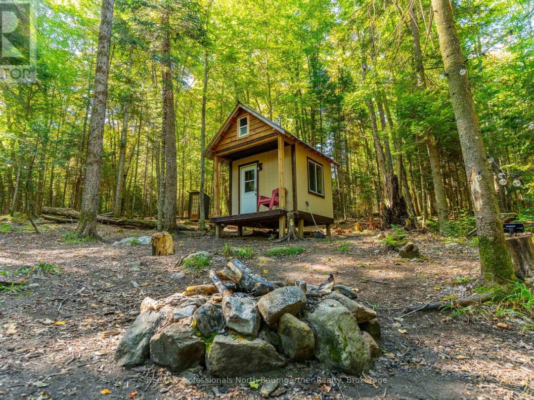 LOT 40 BASSHAUNT LAKE ROAD, 