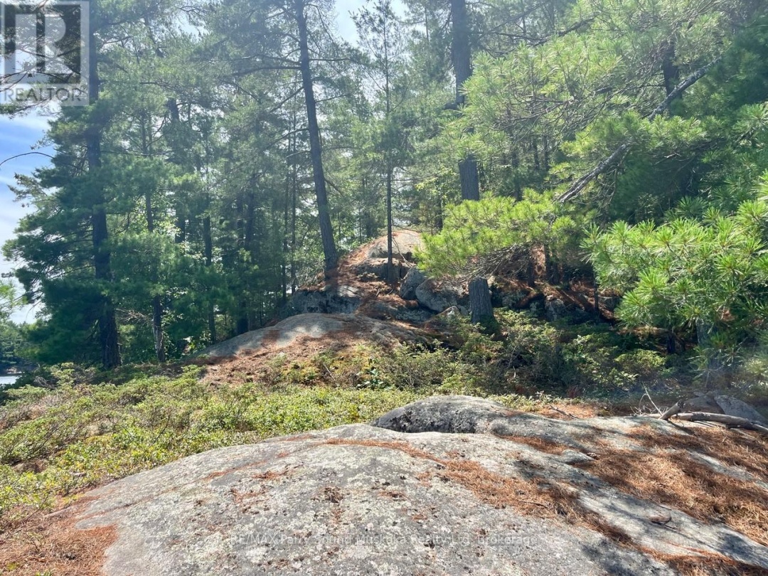 3 Sandy Hook, Wahwashkesh Lake