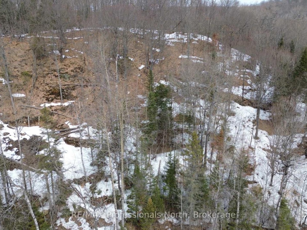 0 TRAPPER'S TRAIL ROAD, Dysart et al (Dudley)