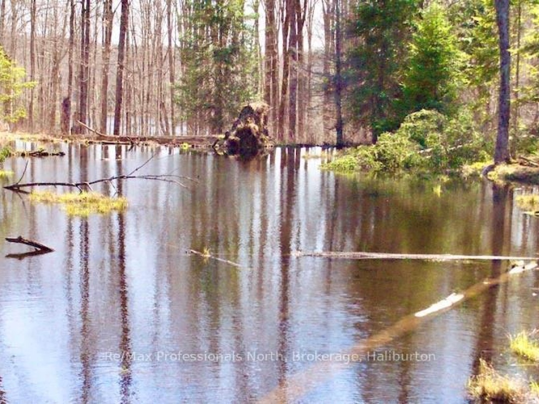 0 Highway 35, Otter Lake