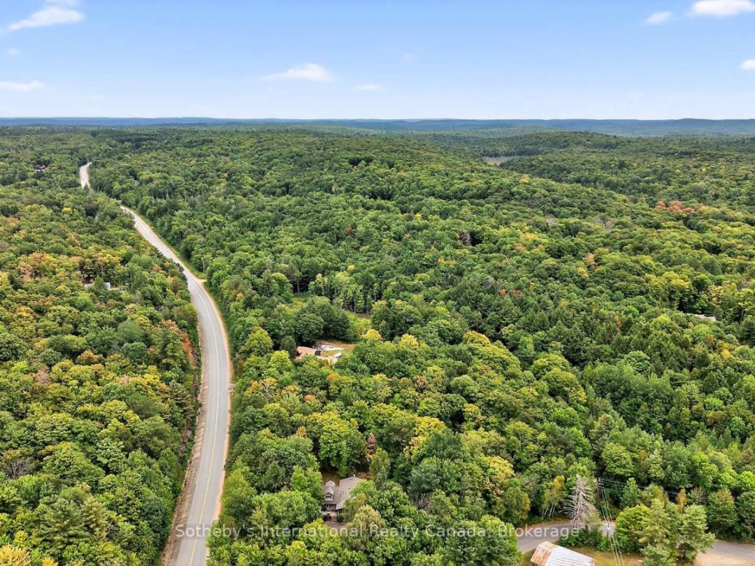1132 LIMBERLOST ROAD, 