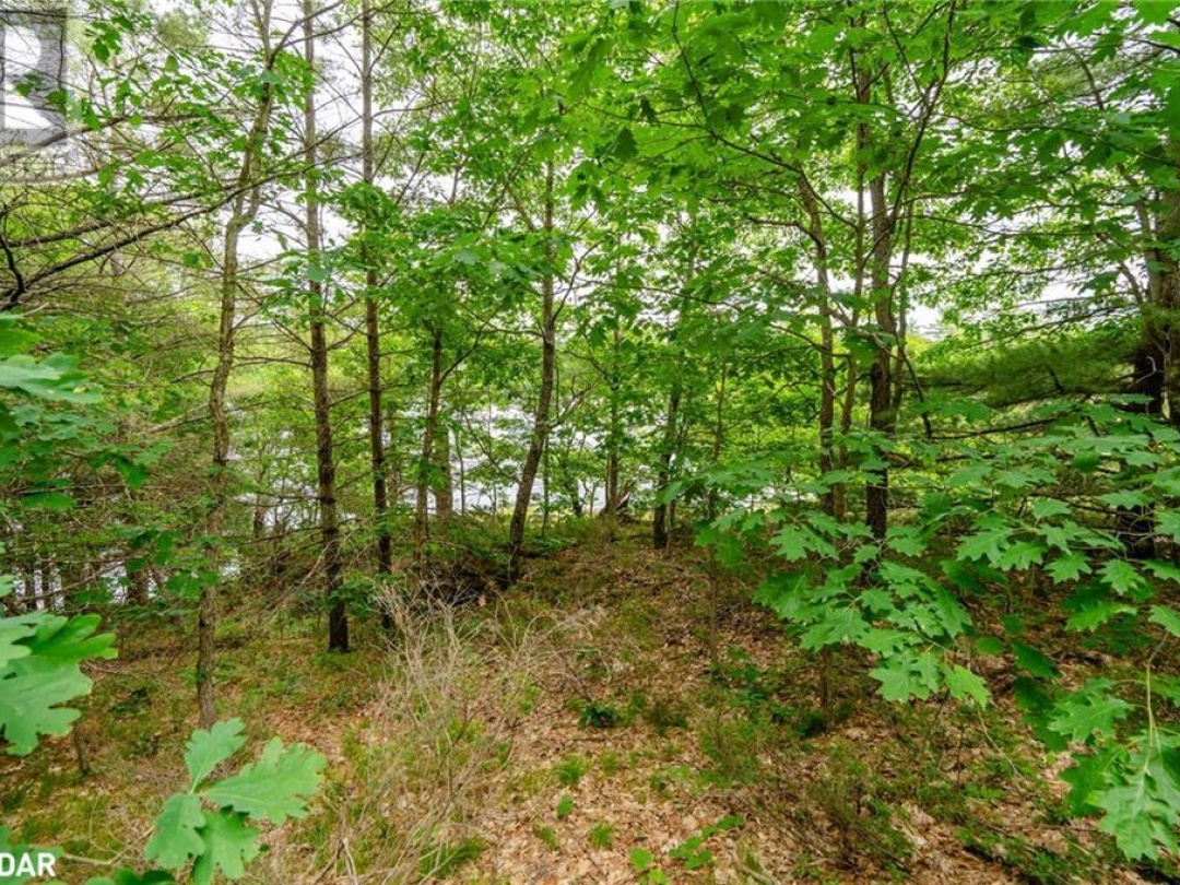 Lot 2 Delta Road, Sparrow Lake
