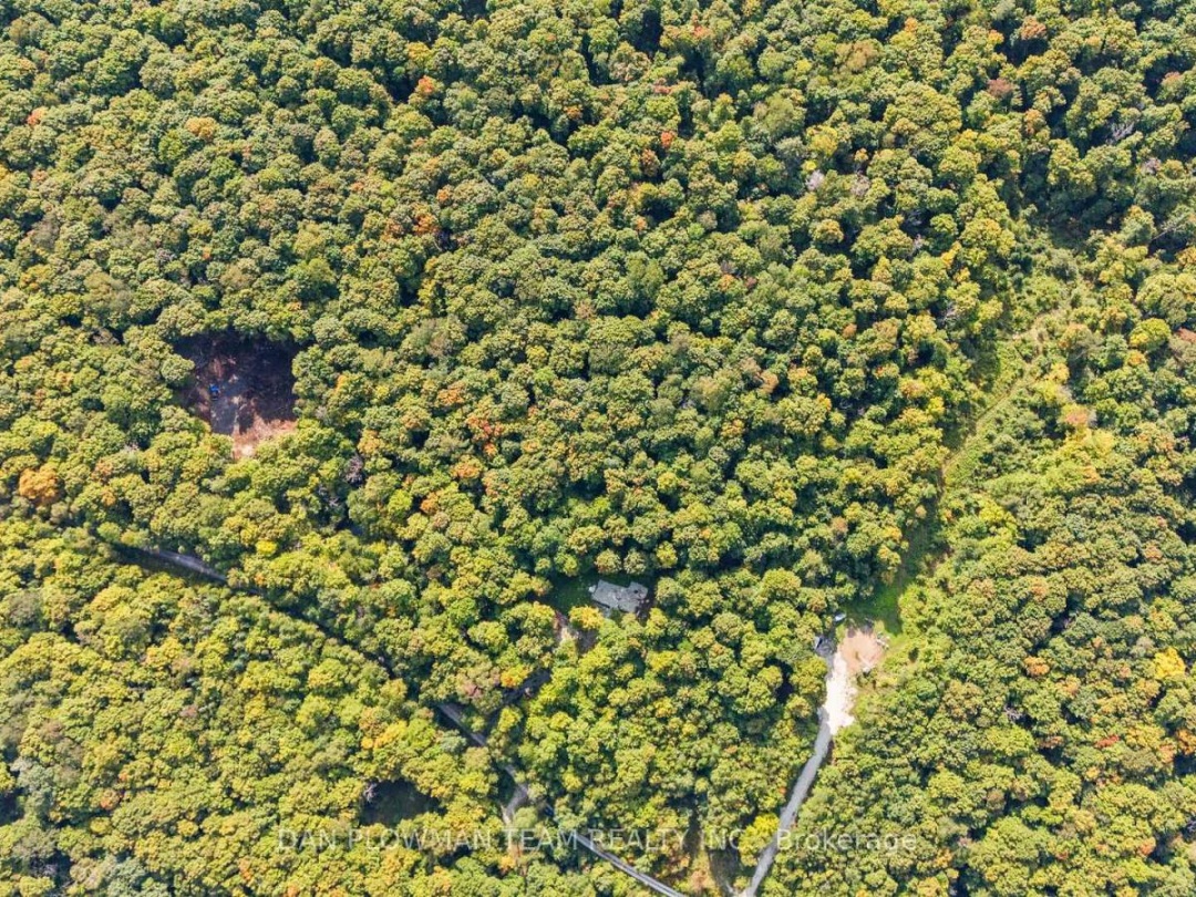 1409 BASSHAUNT LAKE ROAD, 