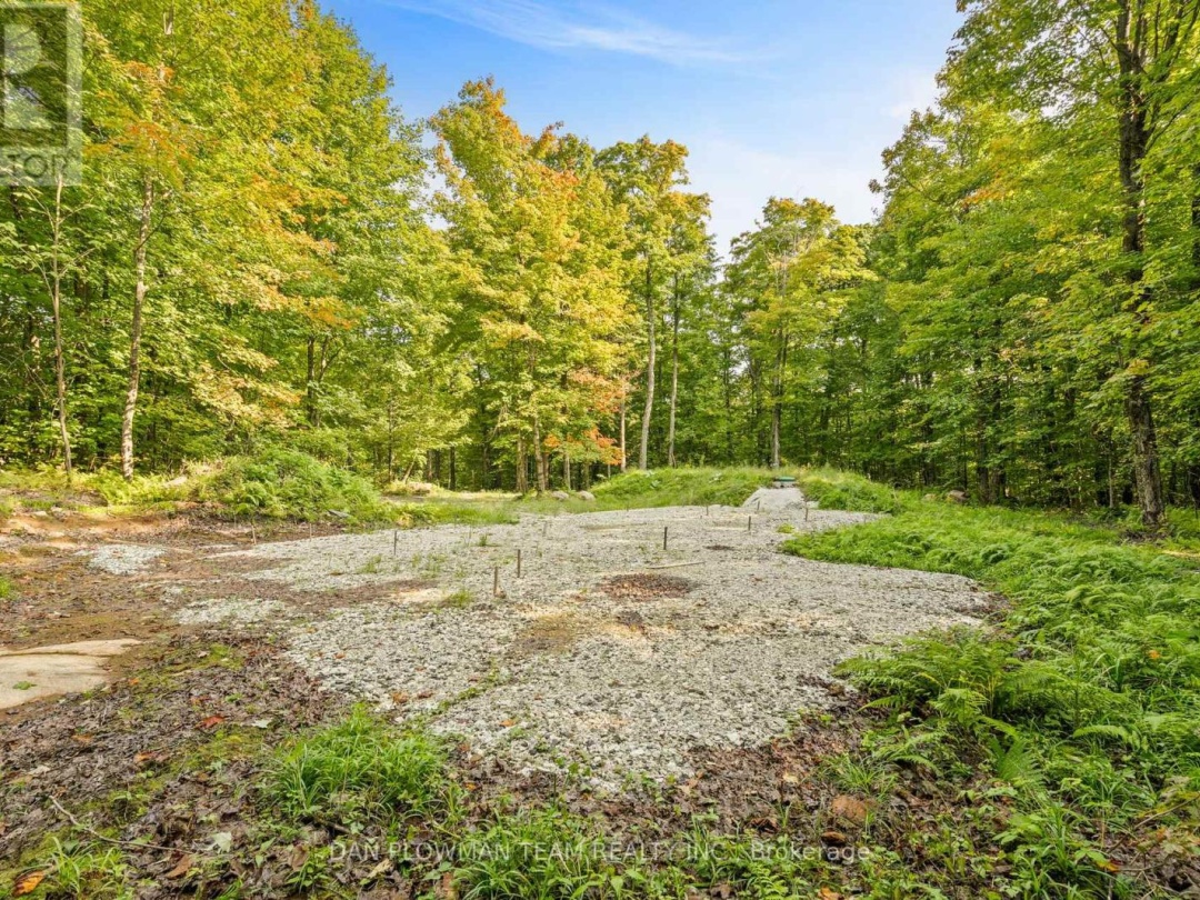 1409 BASSHAUNT LAKE ROAD, 