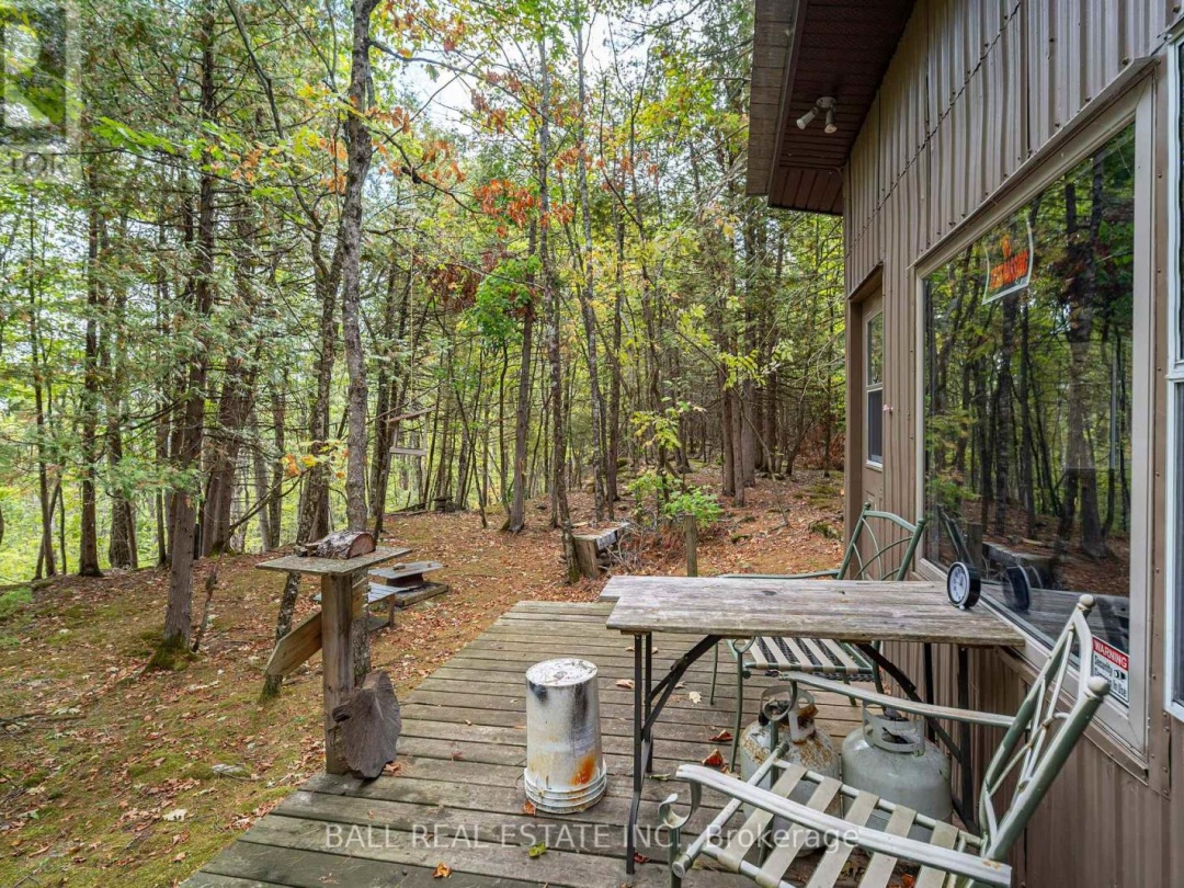 45 SPRING DRIVE, 
