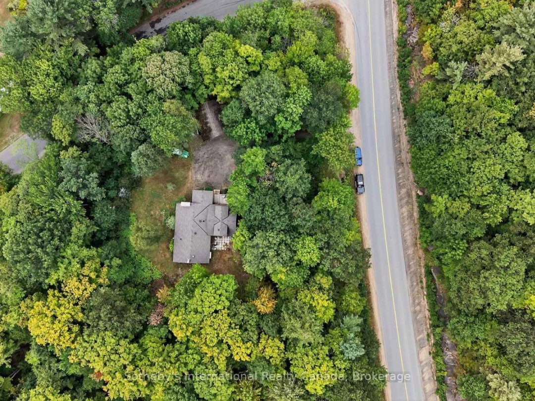 1132 LIMBERLOST ROAD, 
