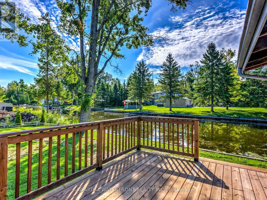 3 SACKITT ROAD, 