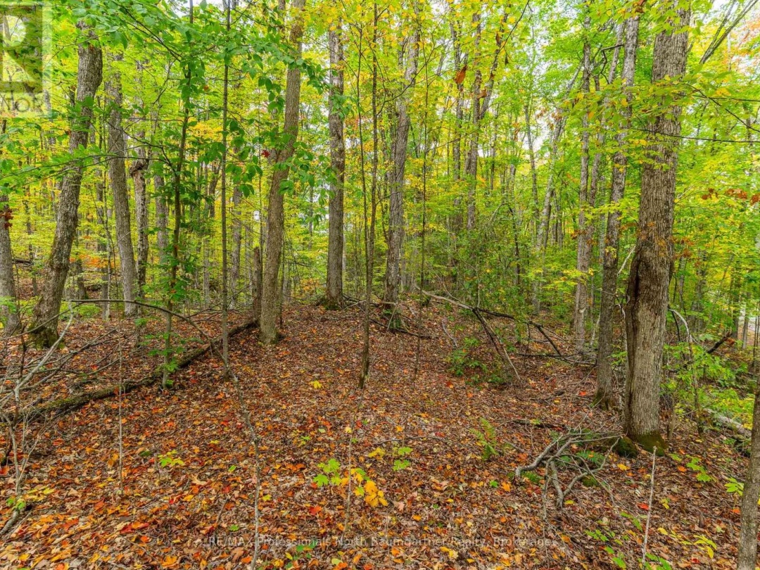PART LOT 1 SALERNO LAKE ROAD, 