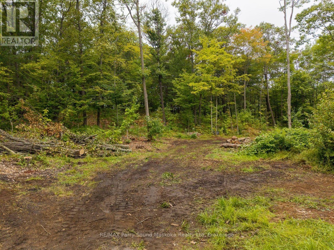 104 PARRY SOUND DRIVE, 