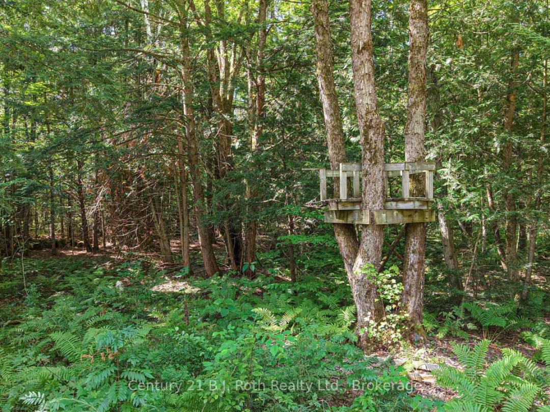 2289 SOUTHWOOD ROAD, 