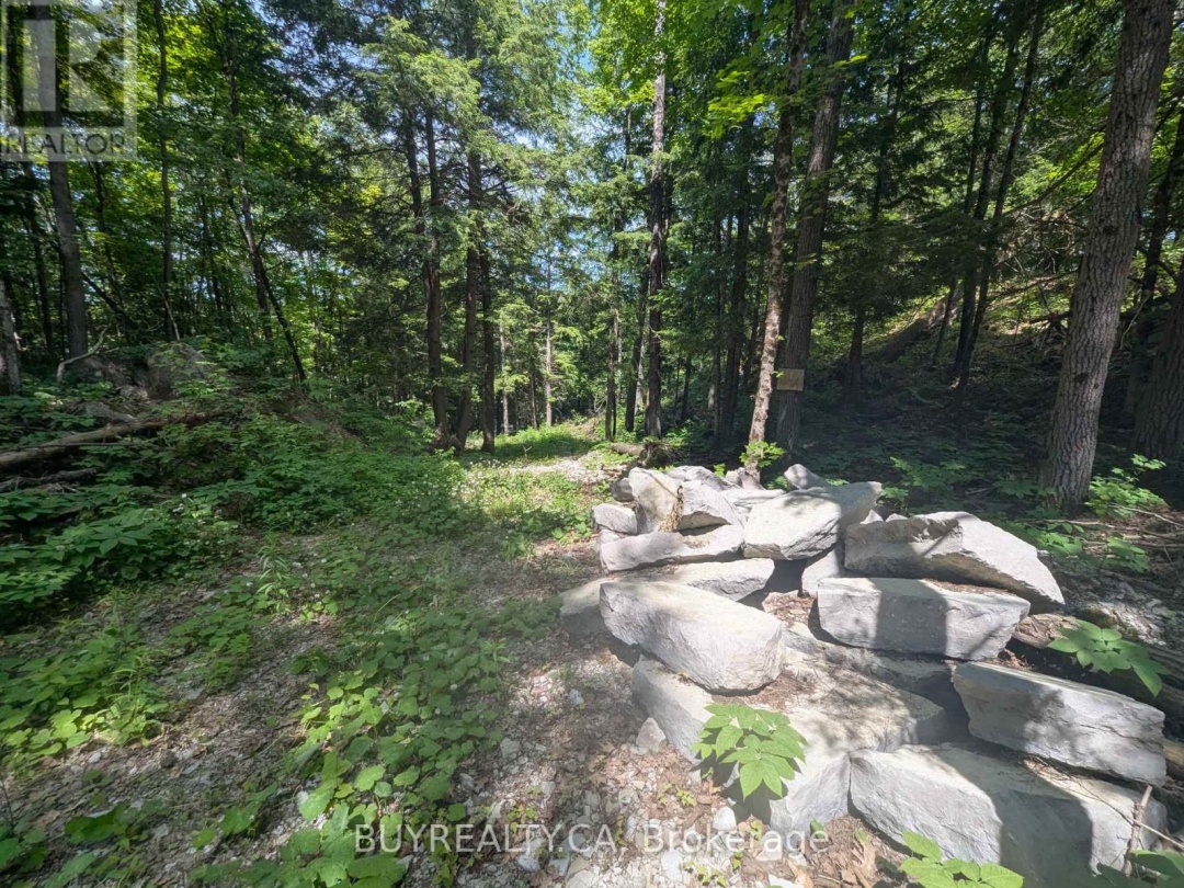 2318 SHERWOOD FOREST LANE, 