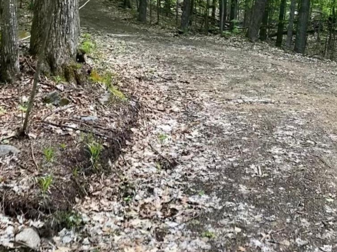 Lot 22 Select Trail, Drag Lake