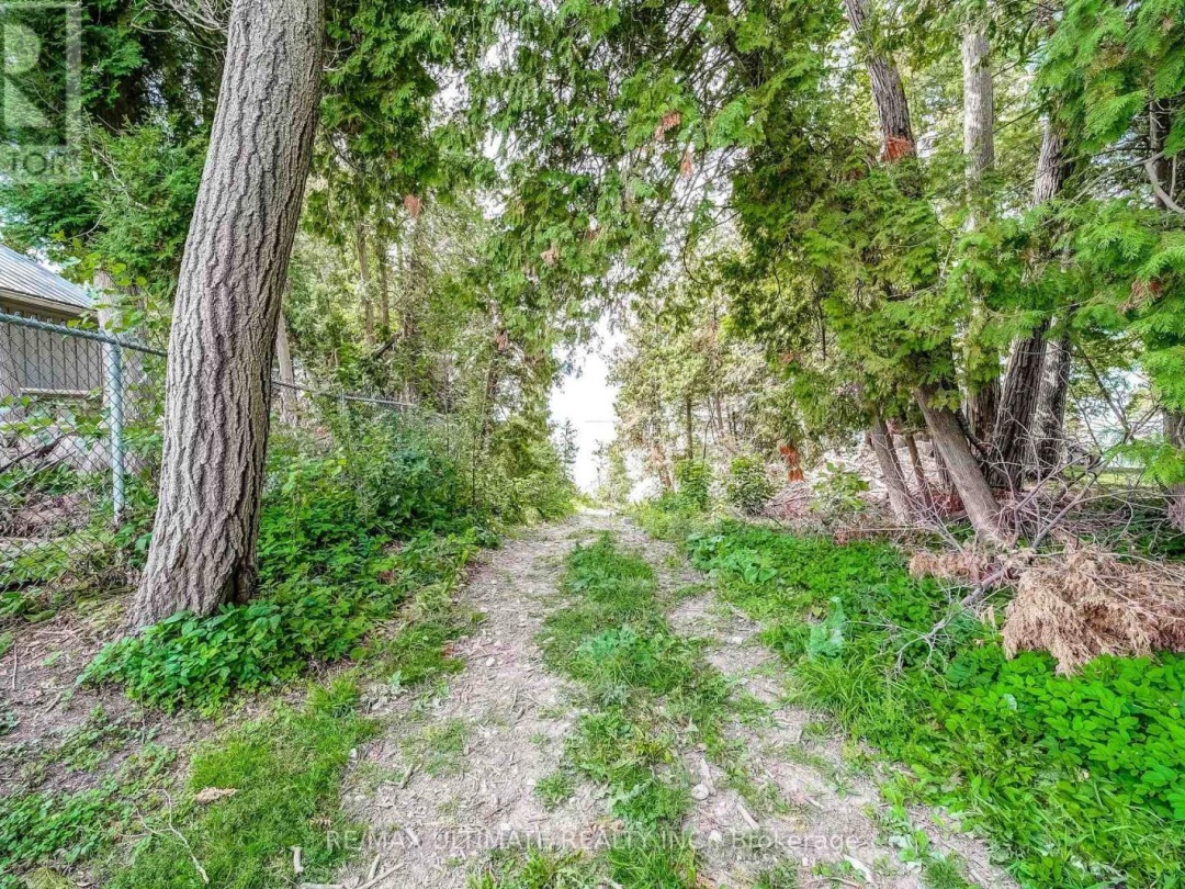 25037 MAPLE BEACH ROAD, 