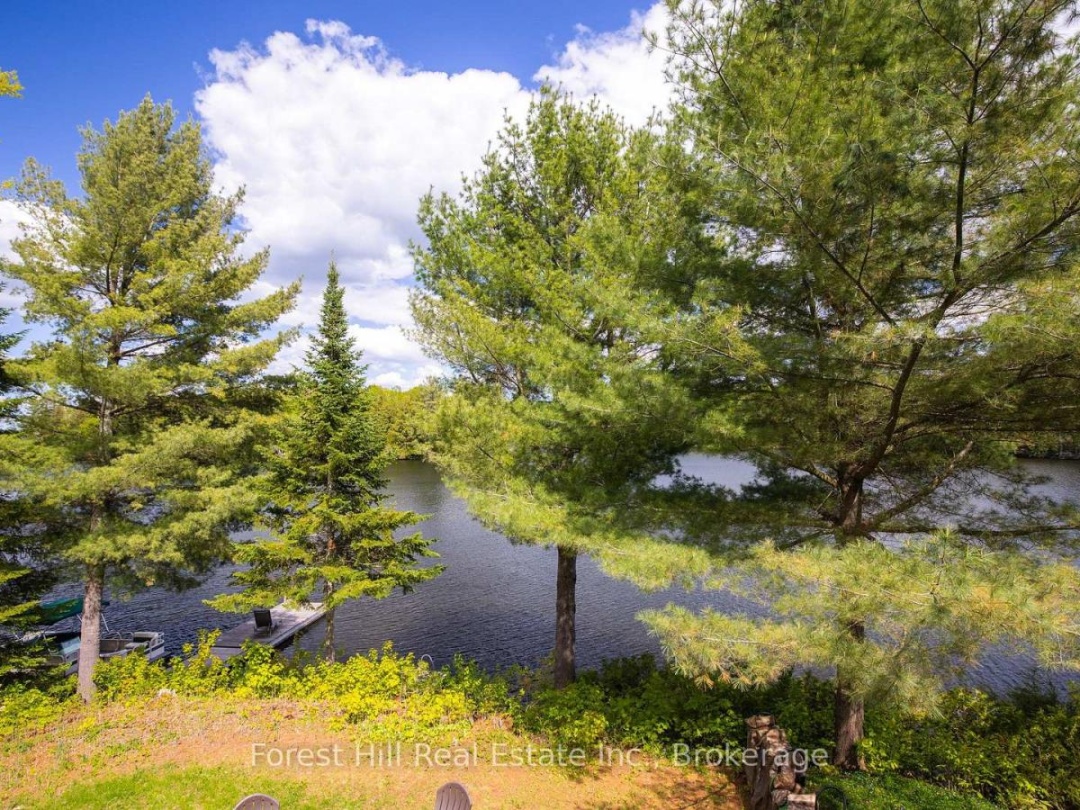445 Lorimer Lake Road, Lorimer Lake