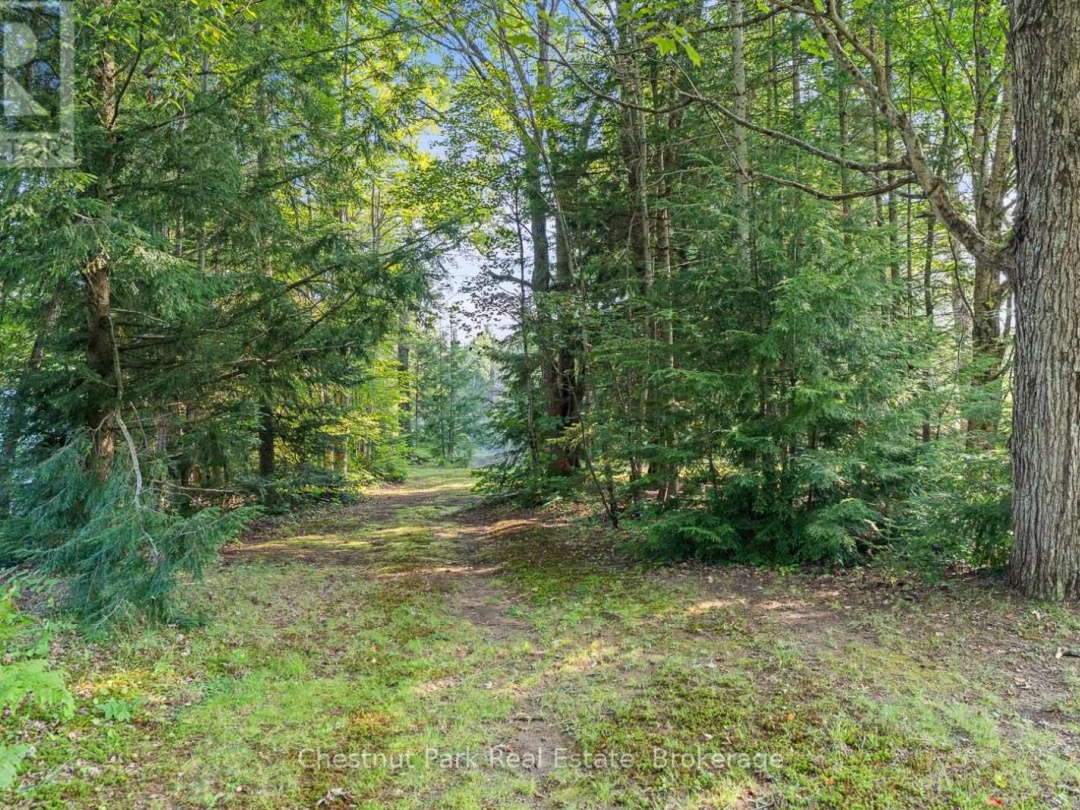 1025 MOE'S ROAD, 