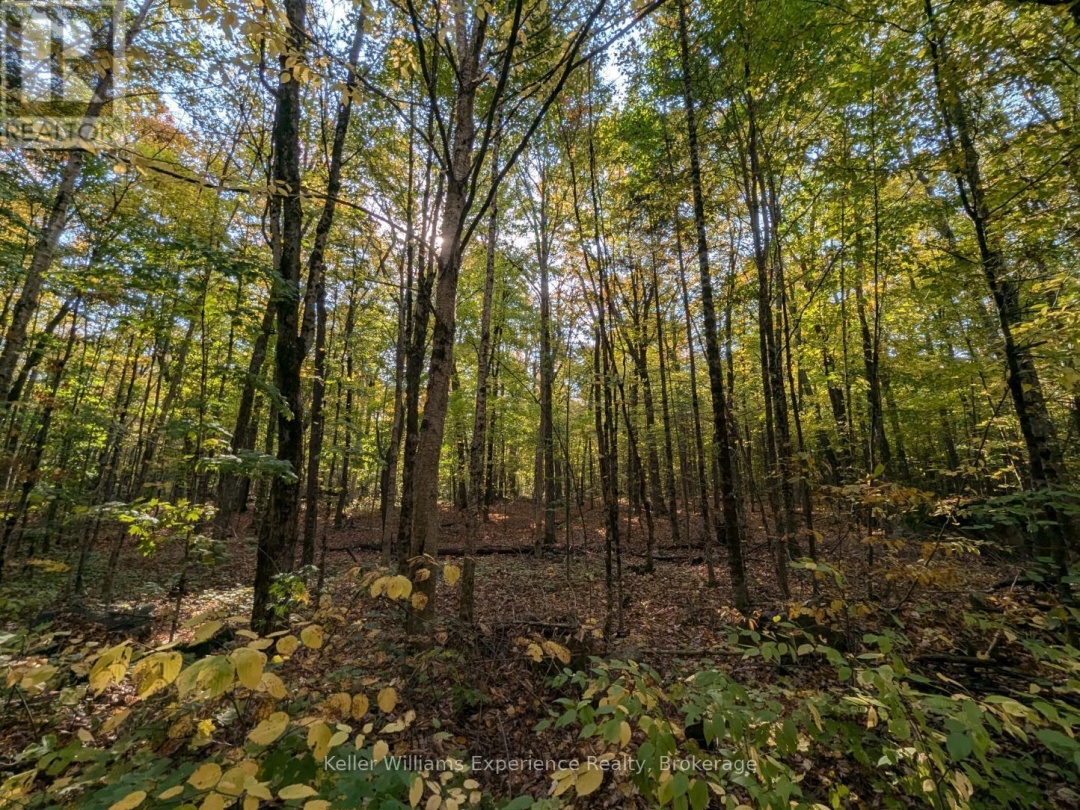 0 HEALEY LAKE ROAD, 