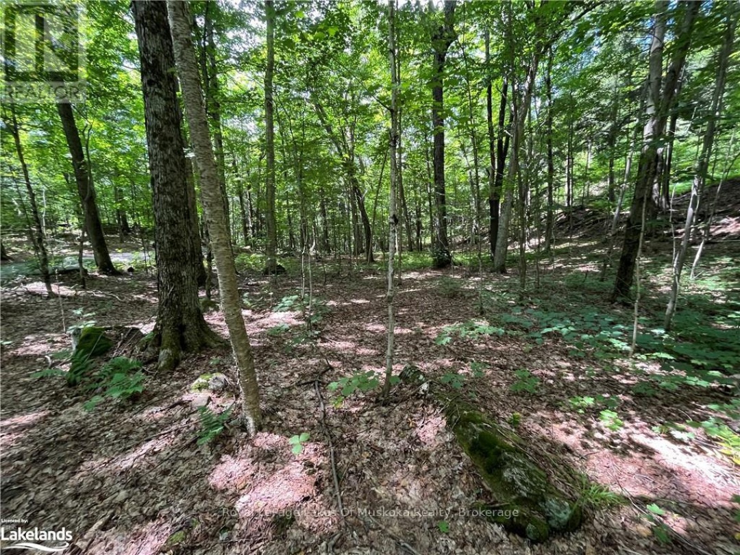 Lot 134 Brennan Circle, Lake Vernon