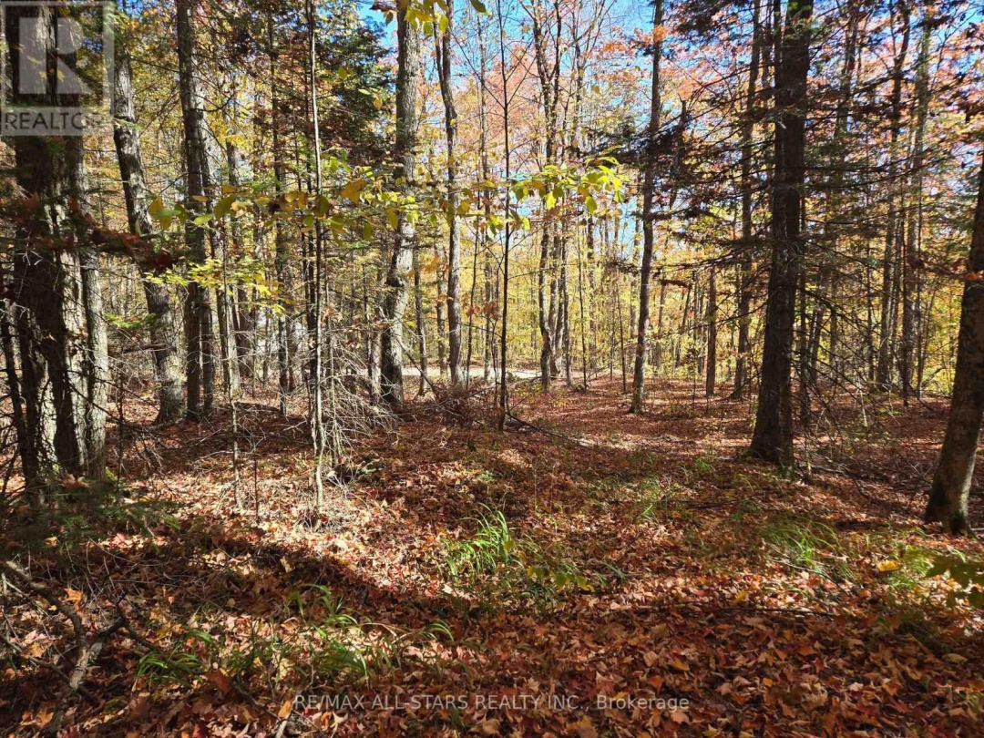 0 SALERNO LAKE ROAD, 