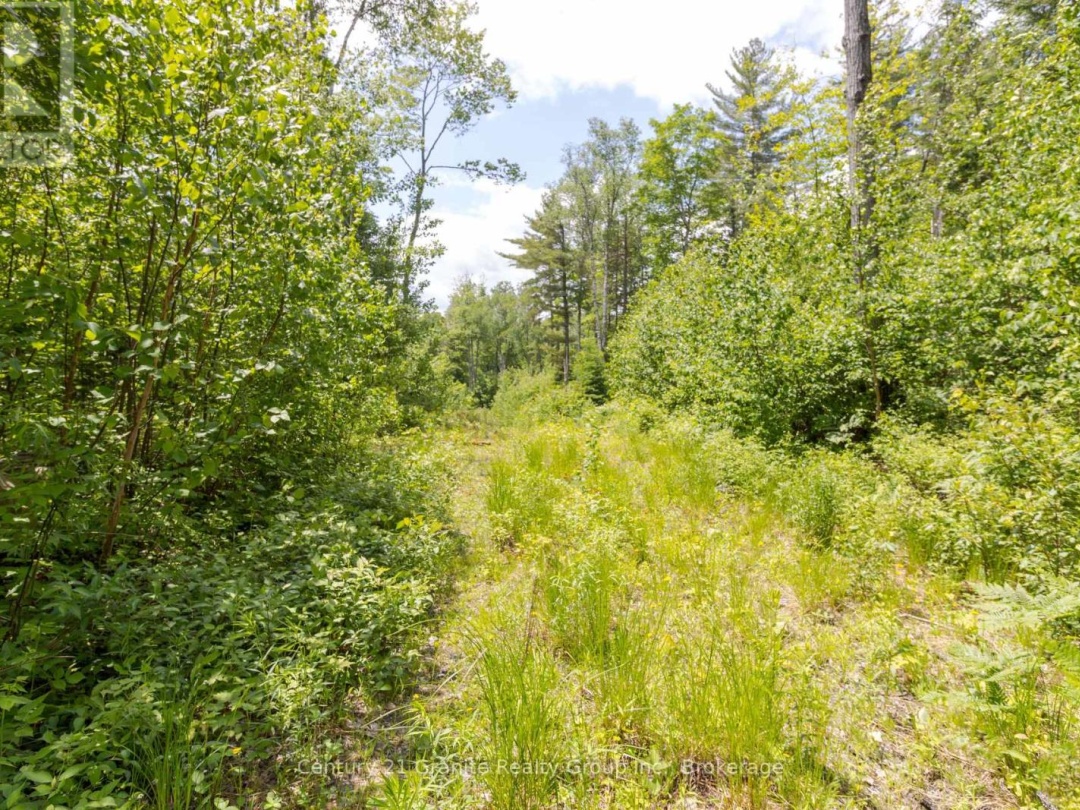 0 HALIBURTON LAKE ROAD, 