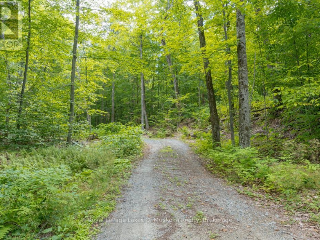 16 LONG AND WINDING ROAD, 
