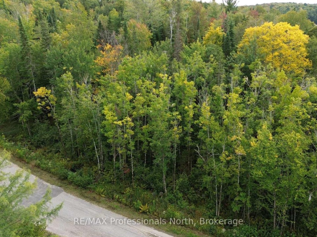 PCL 20438 & 29803 UPPER WALKER LAKE ROAD, Lake of Bays (Sinclair)