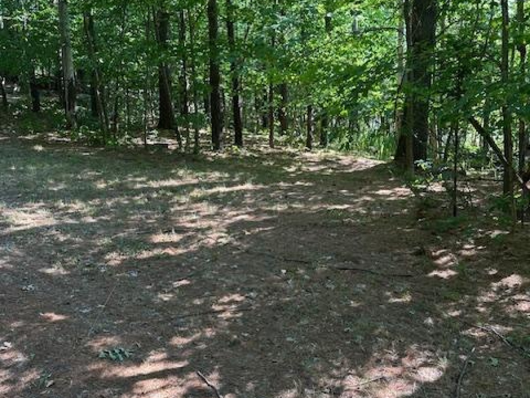 2875 COUNTY ROAD 21 ROAD, 