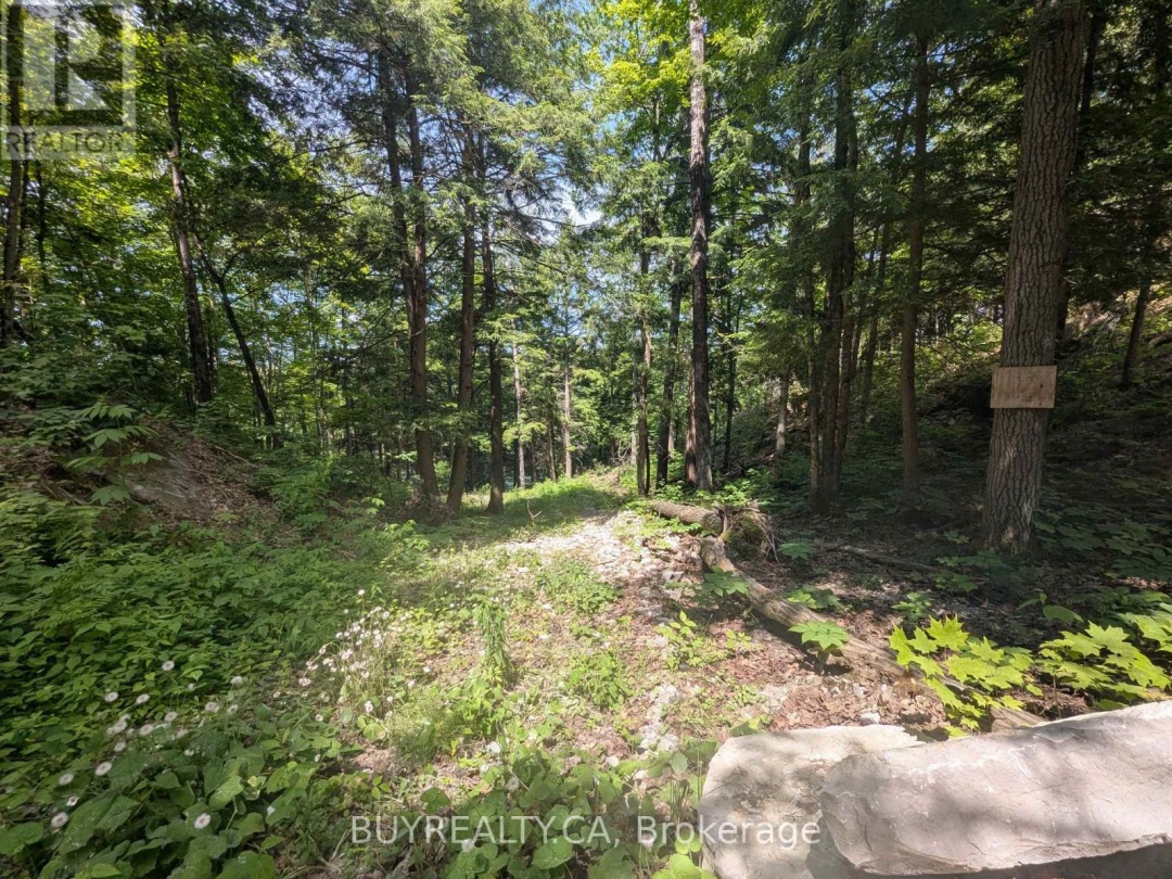 2318 SHERWOOD FOREST LANE, 