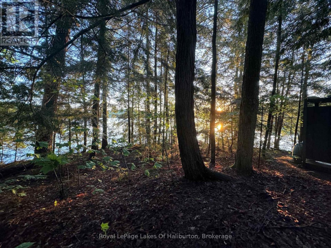 1017 Palace Drive, Little Kennisis Lake