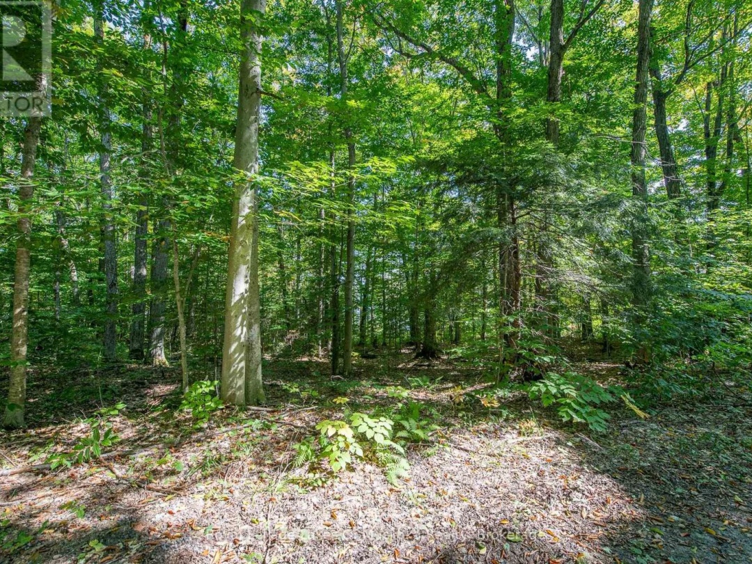 437 Otter Lake Road, Otter Lake