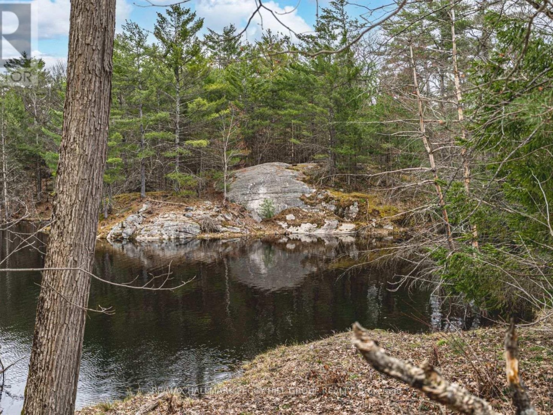 83 Walkway Road, Georgian Bay