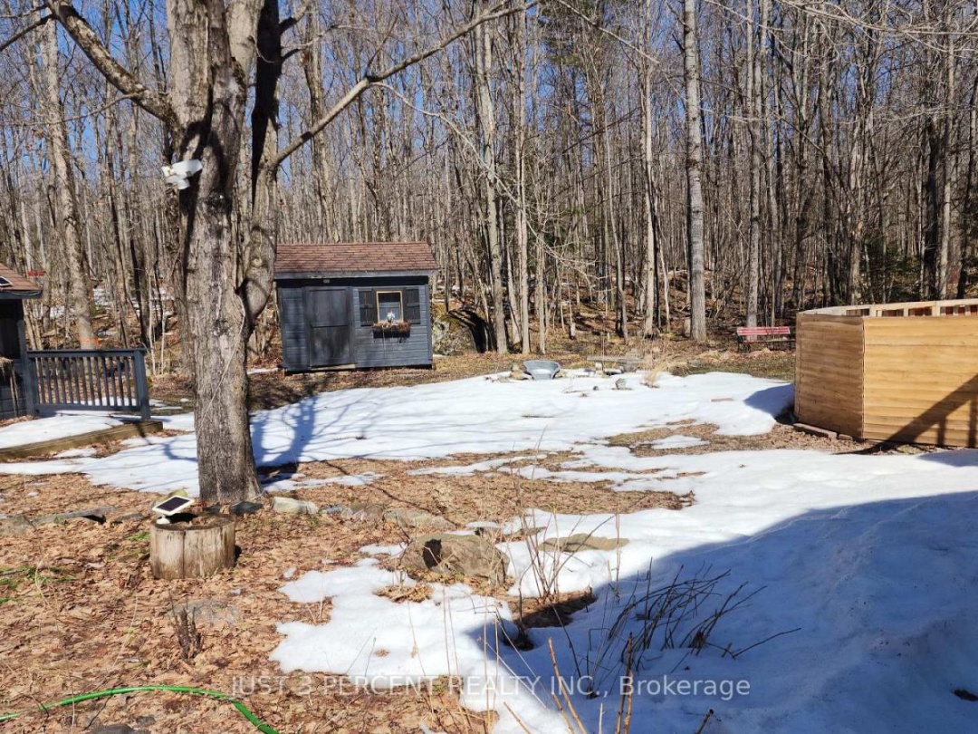 55 Northern Avenue, Little Bald Lake