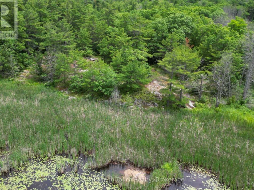 180 PRISQUE ROAD, Georgian Bay