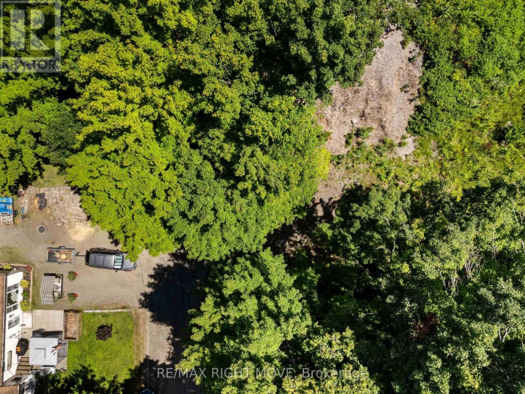255 PEARL DRIVE, 