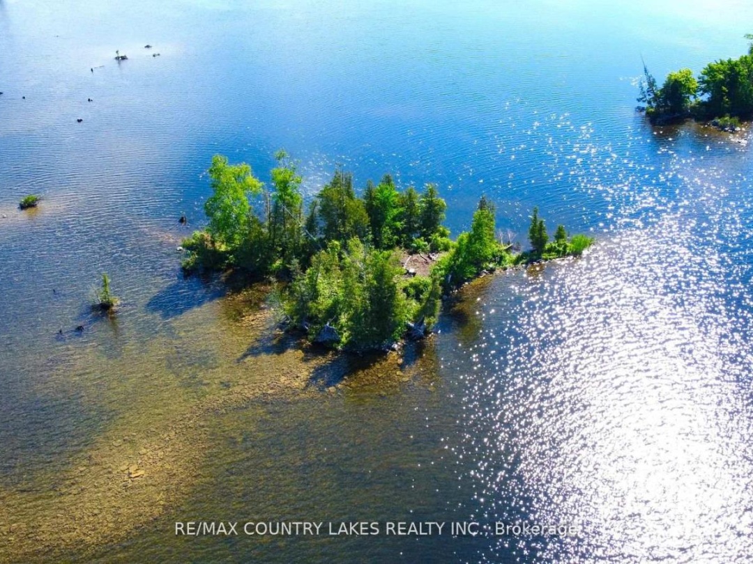 Lt 1 Island, Canal Lake