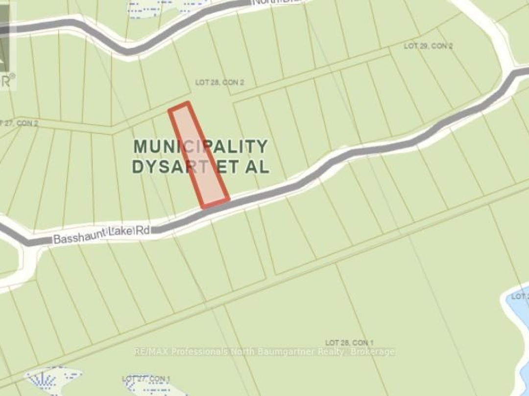 LOT 40 BASSHAUNT LAKE ROAD, 